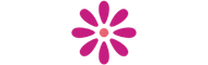 color icon spicy florals